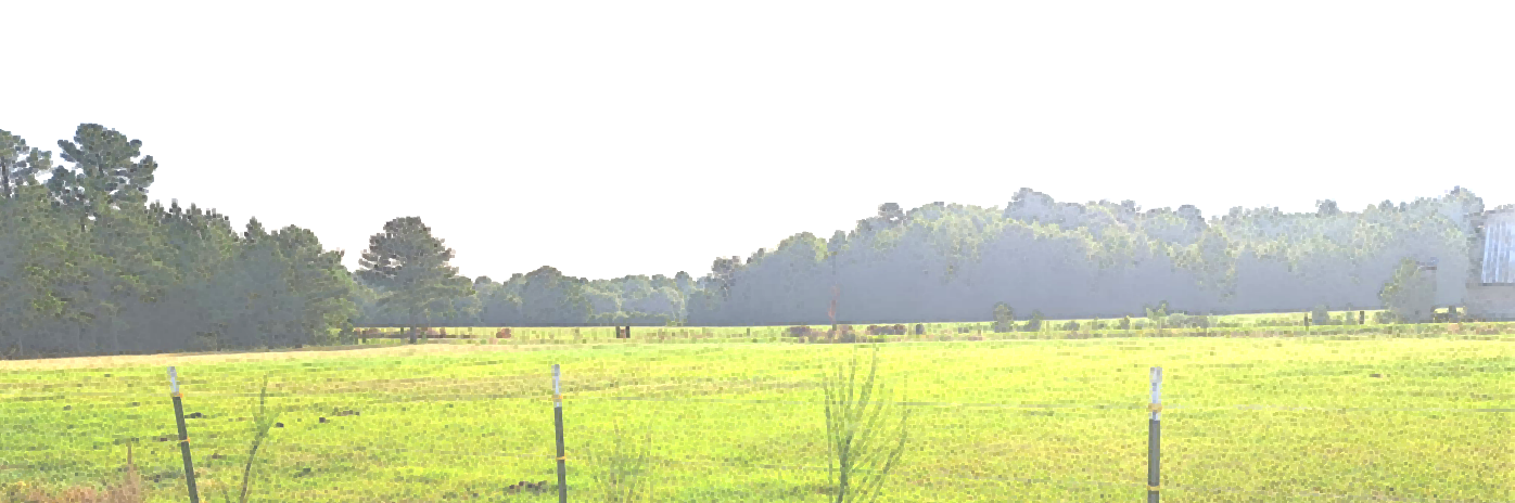 pasture IMAGE