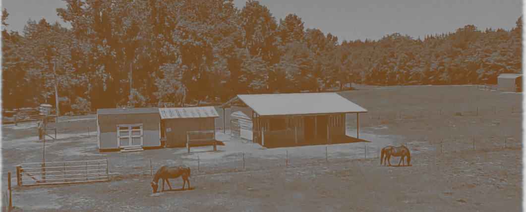 pasture IMAGE